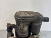 Takajarrusatula