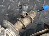 Catalyst/FAP/DPF particulate filter