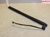 Tailgate/trunk/boot lift motor