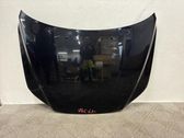 Engine bonnet/hood