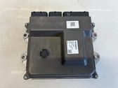 Engine control unit/module ECU