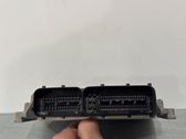 Engine control unit/module ECU