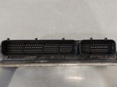 Engine control unit/module ECU