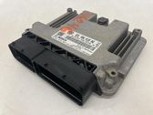 Engine control unit/module ECU