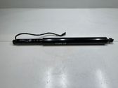 Tailgate/trunk strut/damper
