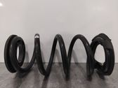 Rear coil spring rubber mount