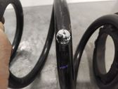Rear coil spring rubber mount