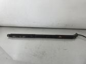 Tailgate/trunk strut/damper