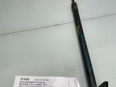 Tailgate/trunk strut/damper