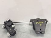 Tailgate lock latch