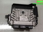 Engine control unit/module ECU