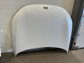 Motorhaube