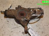 Front wheel hub spindle knuckle