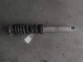 Rear shock absorber with coil spring