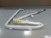 Roof airbag
