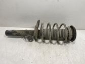 Front shock absorber with coil spring
