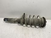 Front shock absorber with coil spring