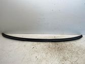 Tailgate/trunk spoiler