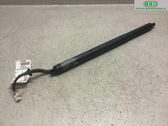 Motor de apertura del maletero/compartimento de carga
