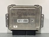 Engine control unit/module ECU