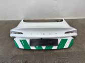 Tailgate/trunk/boot lid