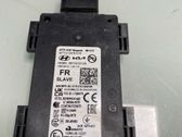 Blind spot module
