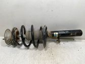 Front shock absorber with coil spring