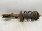 Front shock absorber with coil spring
