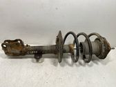Front shock absorber with coil spring