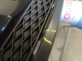 Front grill