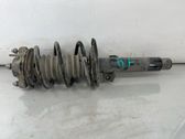 Front shock absorber with coil spring