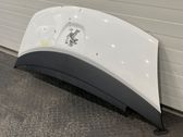 Engine bonnet/hood