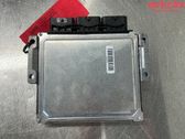 Engine control unit/module ECU