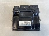 Engine control unit/module ECU