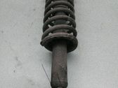 Stoßdämpfer mit Federbein hinten