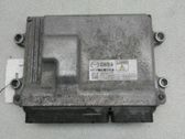 Engine control unit/module ECU