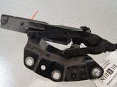 Bisagras del capó/tapa del motor