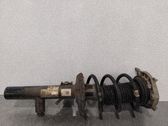 Amortiguador delantero con muelle espiral