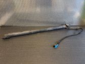 Tailgate/trunk/boot lift motor