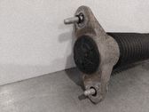 Stoßdämpfer hinten