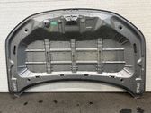 Motorhaube