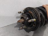 Amortiguador delantero con muelle espiral