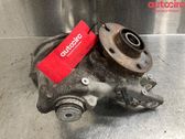 Rear wheel hub spindle/knuckle