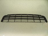 Atrapa chłodnicy / Grill