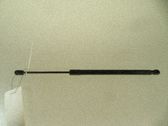 Tailgate/trunk strut/damper