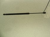 Tailgate/trunk strut/damper