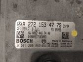 Engine control unit/module ECU