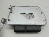Engine control unit/module ECU