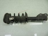 Front shock absorber with coil spring
