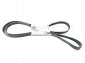 Alternator belt